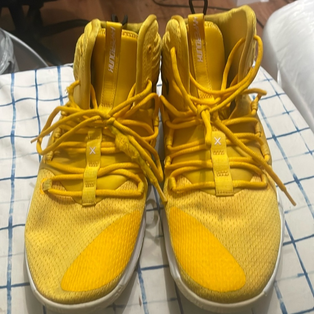 Nike Zoom hyberdunk